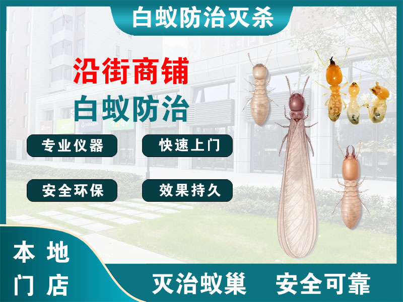 椒江沿街商铺白蚁防治