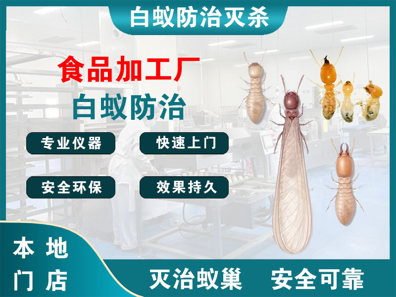 椒江食品加工厂白蚁防治