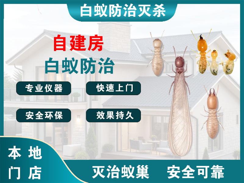 椒江自建房白蚁防治