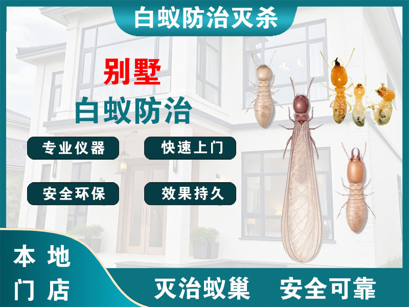椒江别墅白蚁防治